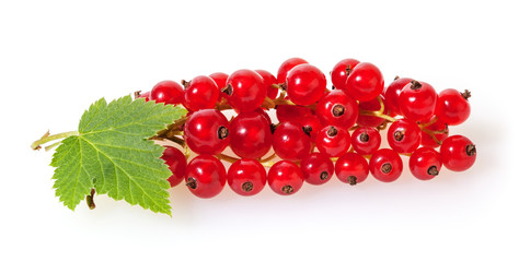 Red currant with green leaves isolated on white background