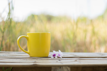 Coffee espresso background in garden.