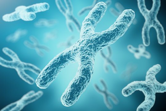 XY-chromosomes as a concept for human biology medical symbol gene therapy or microbiology genetics research. 3d rendering