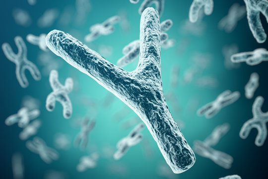 XY-chromosomes on background, medical symbol gene therapy or microbiology genetics research with with focus effect. 3d rendering