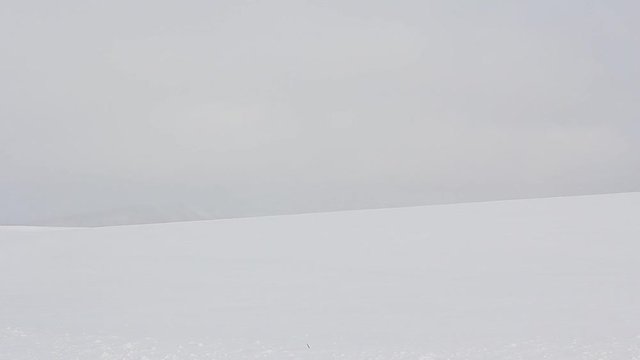 北海道　雪原風景
