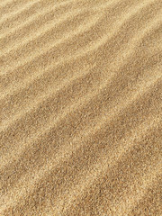 Fototapeta na wymiar Sand on the beach. Texture.
