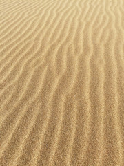 Fototapeta na wymiar Sand on the beach with traces of the wind