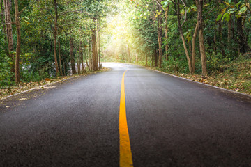 Rural road with a curve and sunlight at Mae Ya Waterfall, Doi Inthanon, Chiang Mai Thailand.