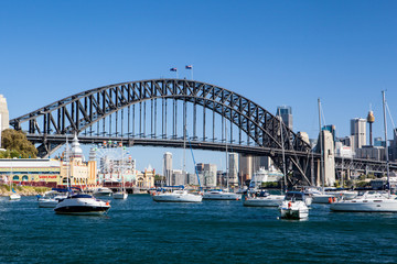 Fototapeta premium Sydney Harbour Bridge and City