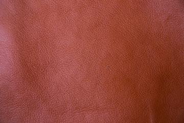 Background of genuine cow leather