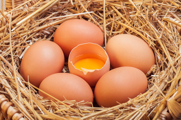 The eggs laid with hay.