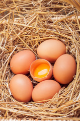 The eggs laid with hay.