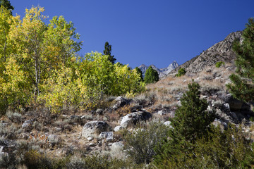 Sierra Nevada California