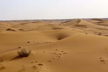 Sanddünen in Iran