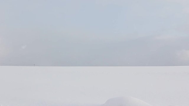 北海道　雪原風景