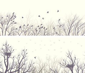 Horizontal wide banners forest with tree branches and birds.