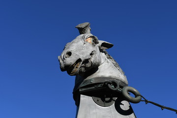 Horsehead