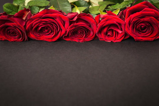 Fototapeta beautiful red roses on black background