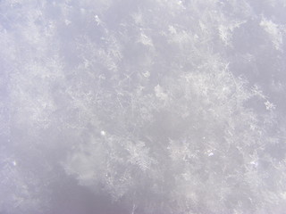 snow