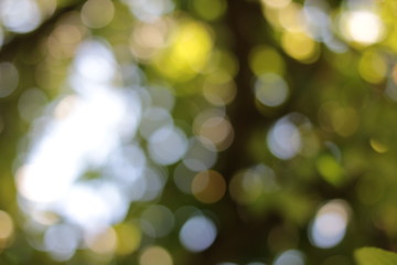 Drops of light