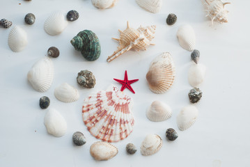 Marine composition. red star.