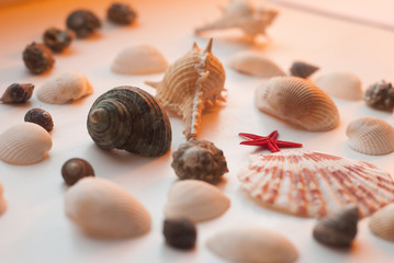 Sea song at sunset. yellow, red star.