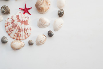 Marine composition. yellow, red star.