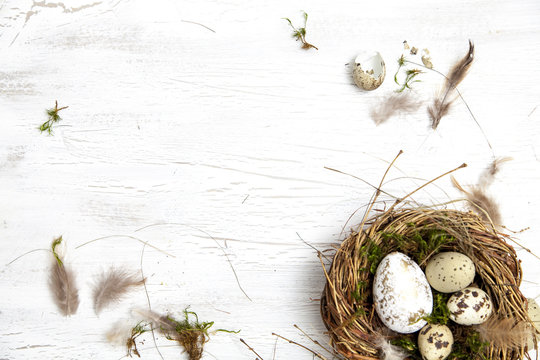 Oster Dekoration mit Nest und Ei auf weißem Holz Hintergrund