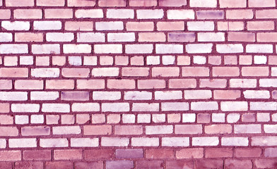 Magenta toned old brick wall texture.