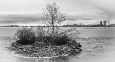 Fototapeta premium Bayfront Park