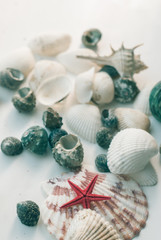 Sea song at sunset. yellow, red star.