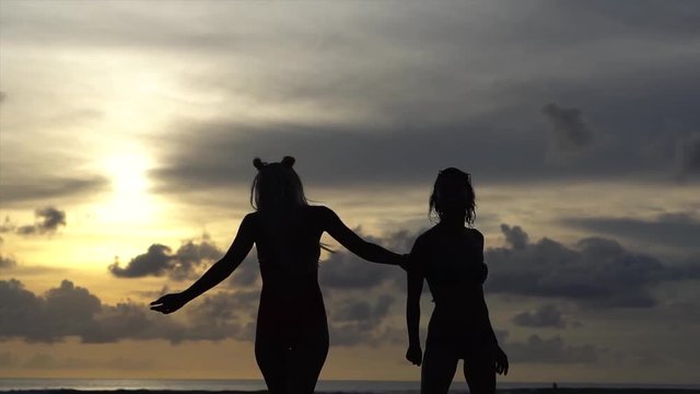 happy young loving lesbians on the beach, silhouettes at sunset