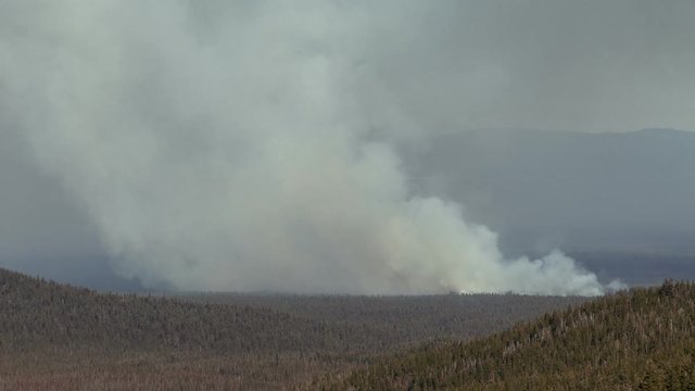 Forest Fire - A fast moving wildfire burns in southern Oregon.