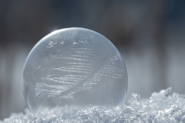 Beautiful frozen bubble with with the structure of an ice plant