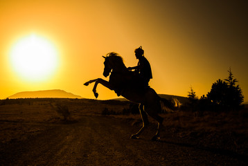 horse riding silhouette