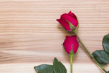 red rose on a wooden texture