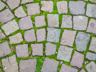 Square brick stone pattern on the street texture with moss at Italy