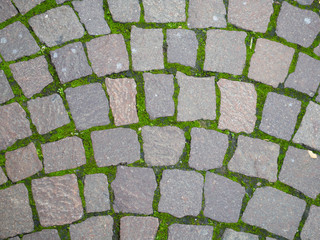 Square brick stone pattern on the street texture with moss at Italy