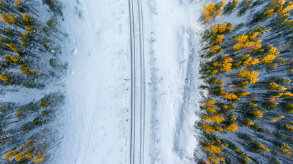 Top view at the wintry two way rail road in evergreen forest - obrazy, fototapety, plakaty