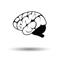 Brain icon