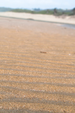 Beach sand ripples