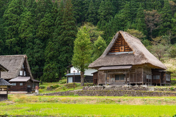 Fototapeta na wymiar Wooden old house in Shirakawago