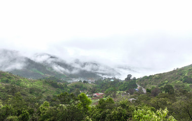 The view point of Doi Pha tang mountain. Chiang Rai Thailand