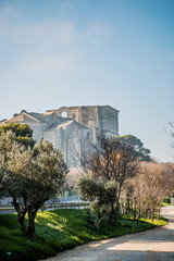 L'Abbaye de Montmajour près d'Arles