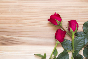 Fototapeta na wymiar red rose on a wooden texture