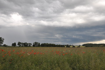 Polska - Mazury - Warmia