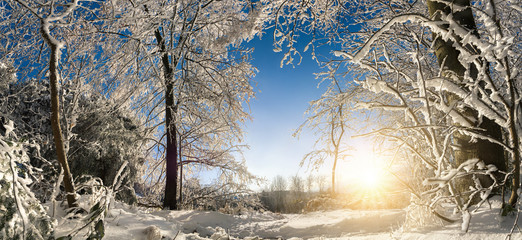 Verzauberte Winterlandschaft mit Sonne, Schnee auf Bäumen und blauem Himmel