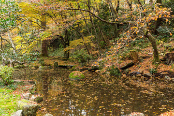 Autumn Japanese temple