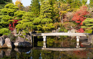 Fototapeta na wymiar Japanese Kokoen Garden with maple tree
