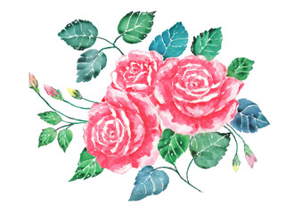 Watercolor pink roses bouquet art.Hand painted flowers with colorful leaves isolate on white...