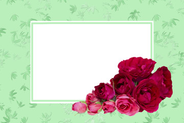 flowers greeting card