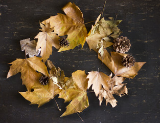 A nice autumn composition with leaves and pine cone.