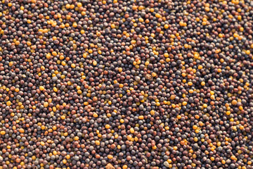 Fresh peppercorn seed background