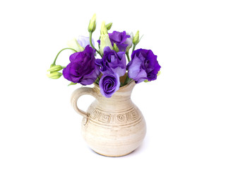 Eustoma grandiflorum on a white background